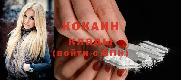 дживик Баксан