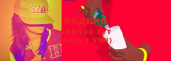 шишки Балахна