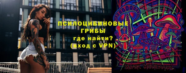шишки Балахна
