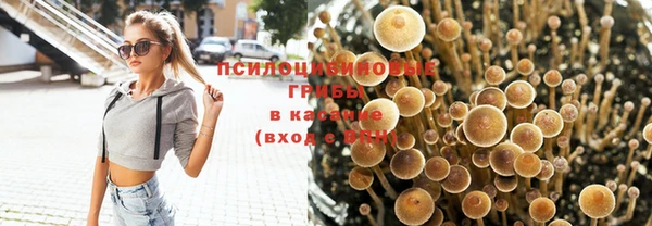 дживик Баксан
