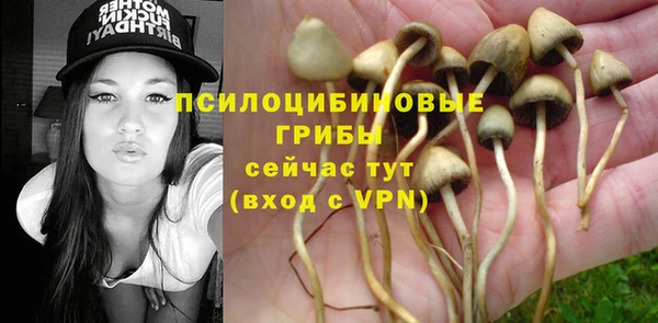 mix Сосновка