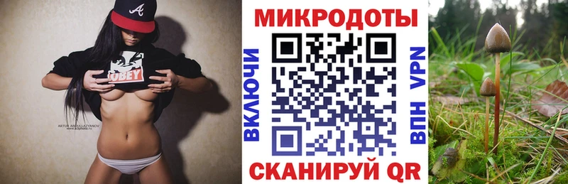 Галлюциногенные грибы Cubensis  Ленинск 